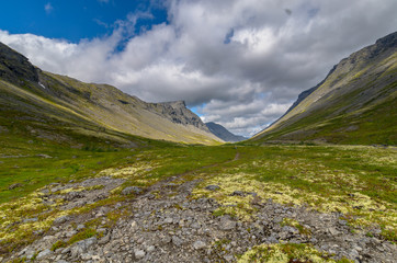 Mountain tundra with mosses and rocks covered with lichens, Hibiny mountains above the Arctic circle, Kola peninsula, Murmansk region, Russia