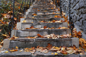 Stone stairs with fallen golden leaves outdoors. Autumn season