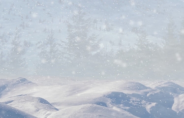 Fototapeta na wymiar Winter background, falling snow over winter landscape