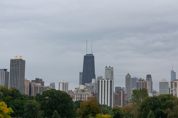 Fototapeta na wymiar Chicago Skyline seen from Lincoln Park with Trees