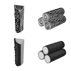 Vector design of tree and raw icon. Set of tree and construction stock symbol for web.