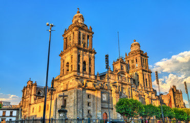 Fototapeta na wymiar Mexico City Metropolitan Cathedral