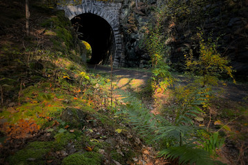 Historic disused railway tunnel in autumn