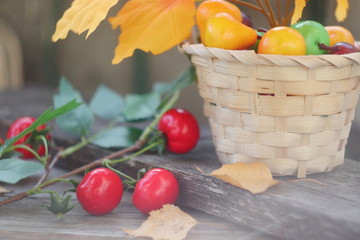 Bright colorful autumn mood. Autumn motives.