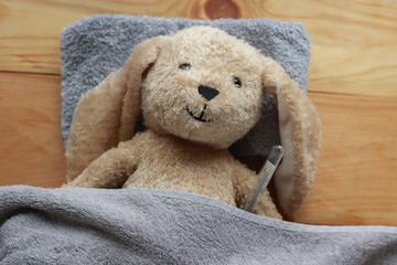 Recovering bunny Teddy Rabbit is feeling sick