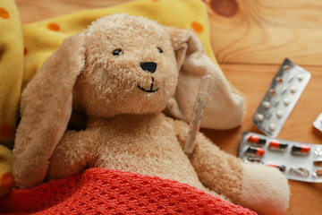 Recovering bunny Teddy Rabbit is feeling sick