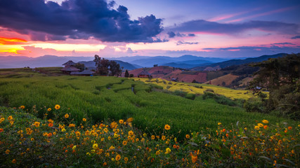 Fototapeta premium green rice terraces on holiday at pa bong paing village, Mae-Jam Chiang mai, Thailand
