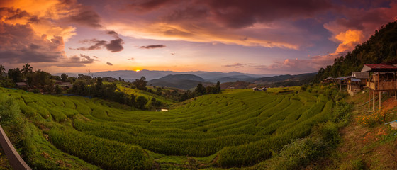 green rice terraces on holiday at pa bong paing village,  Mae-Jam Chiang mai, Thailand