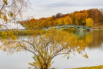 View of Middle Pond in Tsaritsyno Park in Moscow at cloudy autumn day. Autumn colored trees and plants against water surface
