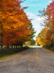 fall road 