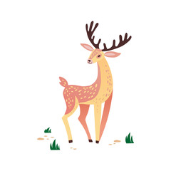 Deer vector hand drawn illustration. Wild animal with antlers drawing in flat cartoon style. Cute reindeer character on grass on isolated on white background.
