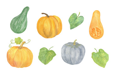 Original hand drawn watercolor pumpkins set for halloween and autumn celebrations, isolated objects on the white background