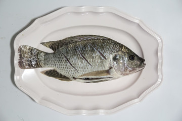 Tilapia for cook on white background