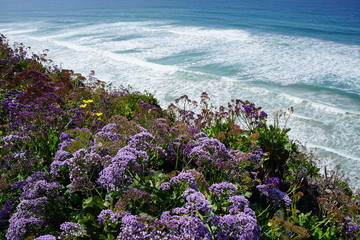 West Coast Cliff in Spring