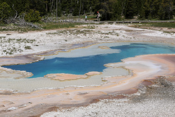 hot spring in yellowstone