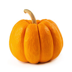 Orange miniature pumpkin isolated on white background