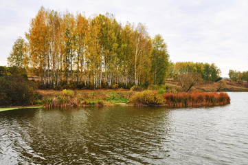 Fototapeta premium Beautiful autumn landscape yellow grass leaves