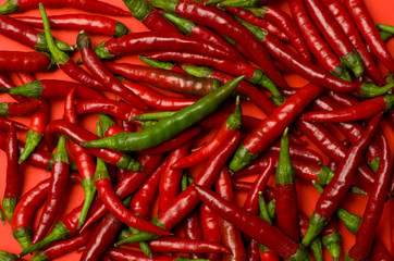 Red spicy chilli peppers freshly picked from the garden