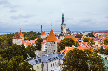 Fototapeta premium Amazing skyline of Tallinn, the capital of Estonia, with dominant St. Olaf's Church, a Baptist church. The historical old town with the Walls of Tallinn, remnants of medieval defensive walls