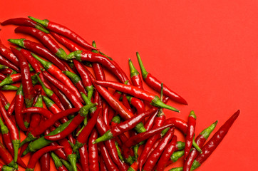 Red spicy chilli peppers freshly picked from the garden