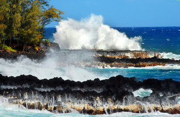 Mackenzie State Park Waves