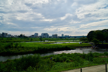 Obraz premium 二子玉川近くの多摩川河川敷