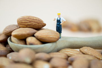 Miniature people chef selecting almond seed for selecting best quality.