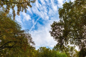 Looking from the park to the sky. Sky with clouds and blue.
