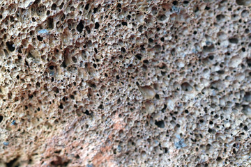 Selective focus. Gray-brown large-pore stone. Pumice stone texture.