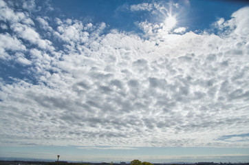 Obraz premium 青空 Blue Sky