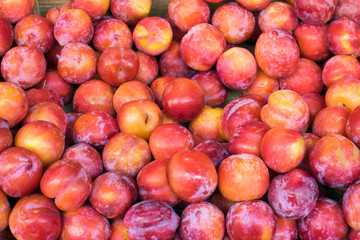 Fototapeta na wymiar Plum background. Red fresh ripe plums placed on table in market. Organic red plums fruit in local farmers market.