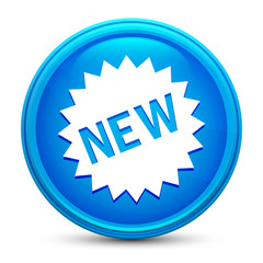 New star badge icon glass shiny blue round button isolated design vector illustration