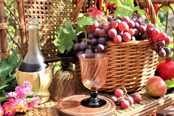 Wicker basket filled with grapes, Fresh organic fruits and wine bottle in the garden.