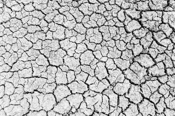 Top view of the Cracked soil in the summer with the sun. black and white the Cracks of the dried soil in arid season at rural Thailand.