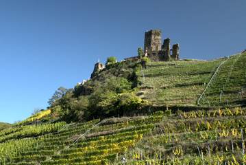 Fototapeta na wymiar Burg Metternich in Beilstein