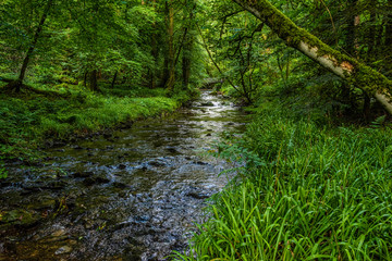 River Lyd in Devon, England