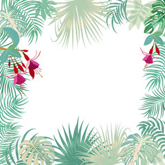 Fototapeta na wymiar Vector tropical jungle banner, frame with palm trees, flowers and leaves on white background