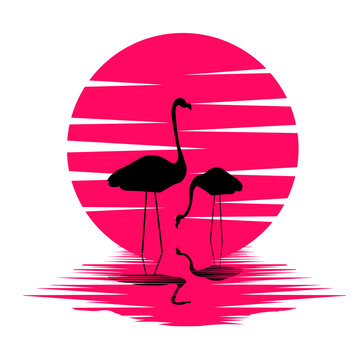 Flamingo Vector の写真 ロイヤリティフリーの画像 グラフィック ベクターおよびビデオ Adobe Stock