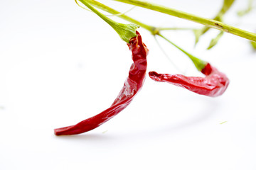 organic homegrown dry hot chili pepper