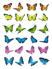 Butterflies flying set on white background vector illustration. Collection of colorful moth with pattern on wings. Sticker of summer or spring botany sign