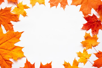 Naklejka na ściany i meble Frame of orange autumn leaves on white. Flat lay, top view, place for text.