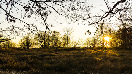 Sonnenuntergang in den Boberger Duenen im Winter