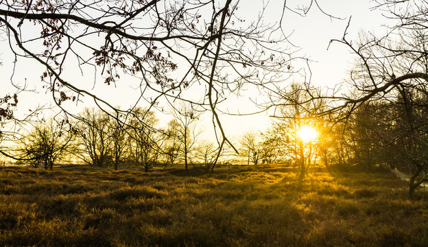 Sonnenuntergang in den Boberger Duenen im Winter