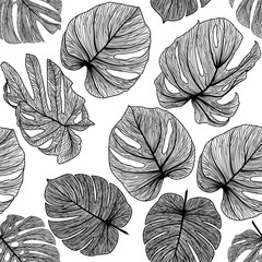 Seamless pattern with tropical leaf palm . Vector illustration.
