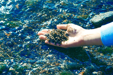 shells stones in hand water sea background. Seashell background, many sea shells.