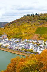 Picturesque city Cochem in Germany photographed in the fall season from the Reichsburg Castle. Colorful autumn landscape, fall leaves. River Moselle. Vineyards on the slope above the town