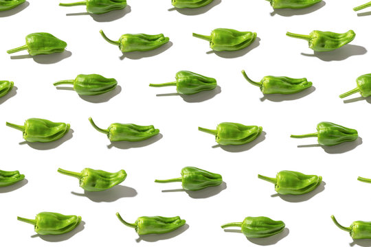 Fresh padron pepper