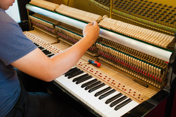 Piano technician  is checking the piano for the customer.Internal parts of the piano