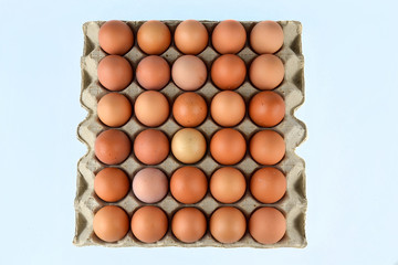 Chicken eggs in the egg tray isolated on the white background.