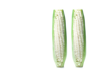 Raw white corn isolated on white background, sweet corn.
